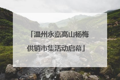 温州永嘉高山杨梅供销市集活动启幕