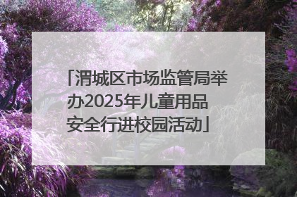 渭城区市场监管局举办2025年儿童用品安全行进校园活动