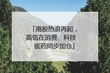 港股热浪再起，高瓴在消费、科技、医药同步加仓