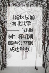 湾区泉涌·南北共擎——“花楸树”杯明湖慈善公益跑成功举办