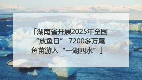 湖南省开展2025年全国“放鱼日” 7200多万尾鱼苗游入“一湖四水”