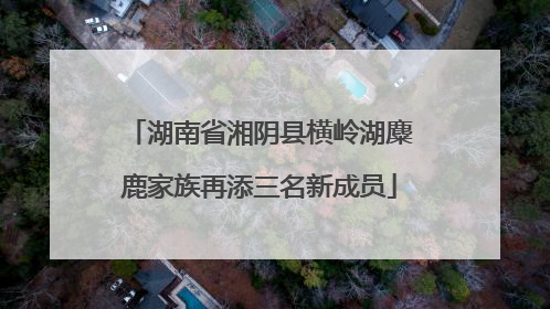 湖南省湘阴县横岭湖麋鹿家族再添三名新成员