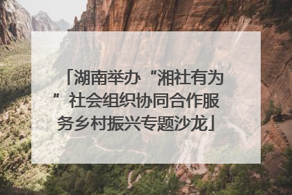 湖南举办“湘社有为”社会组织协同合作服务乡村振兴专题沙龙