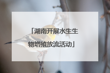 湖南开展水生生物增殖放流活动