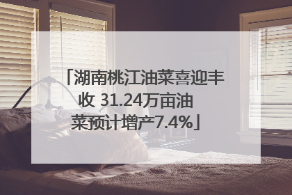 湖南桃江油菜喜迎丰收 31.24万亩油菜预计增产7.4%