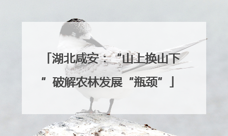湖北咸安：“山上换山下”破解农林发展“瓶颈”