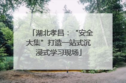 湖北孝昌：“安全大集”打造一站式沉浸式学习现场