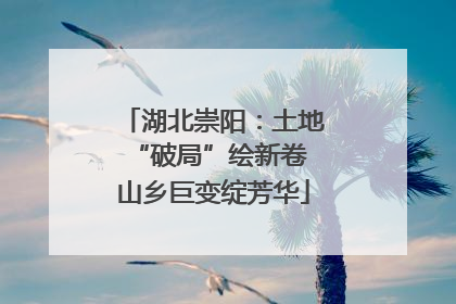 湖北崇阳：土地“破局”绘新卷 山乡巨变绽芳华