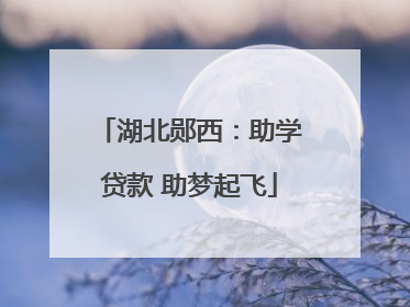 湖北郧西：助学贷款 助梦起飞