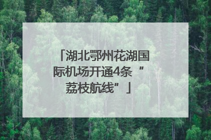 湖北鄂州花湖国际机场开通4条“荔枝航线”