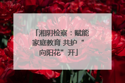 湘阴检察：赋能家庭教育 共护“向阳花”开