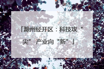 滁州经开区：科技攻“尖” 产业向“新”