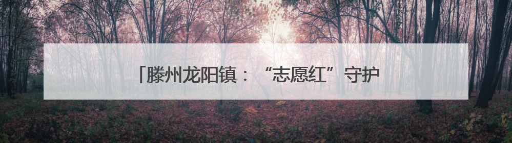 滕州龙阳镇：“志愿红”守护“丰收黄”夏收一线显担当