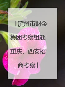 滨州市财金集团考察组赴重庆、西安招商考察