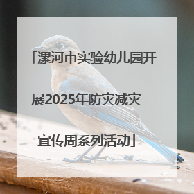 漯河市实验幼儿园开展2025年防灾减灾宣传周系列活动