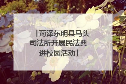 菏泽东明县马头司法所开展民法典进校园活动