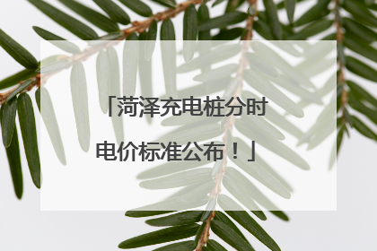 菏泽充电桩分时电价标准公布！