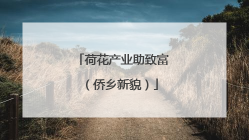 荷花产业助致富（侨乡新貌）
