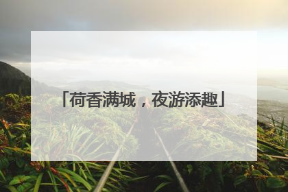荷香满城，夜游添趣