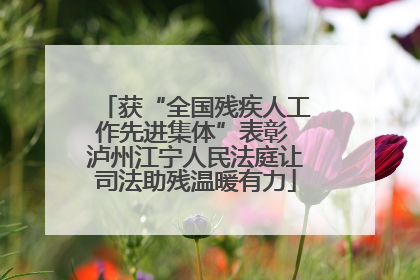 获“全国残疾人工作先进集体”表彰 泸州江宁人民法庭让司法助残温暖有力