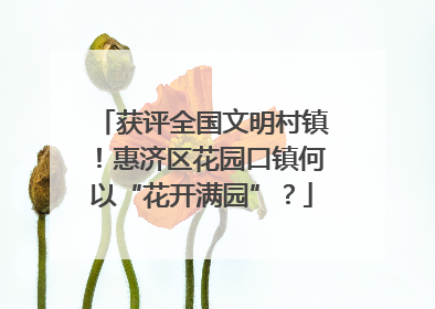 获评全国文明村镇！惠济区花园口镇何以“花开满园”？