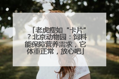 老虎瘦如“卡片”？北京动物园：饲料能保障营养需求，它体重正常，放心吧