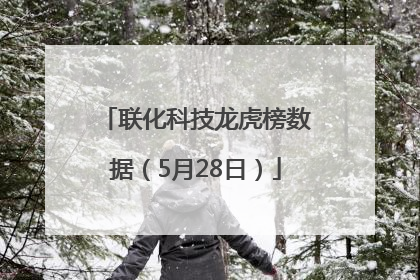 联化科技龙虎榜数据（5月28日）