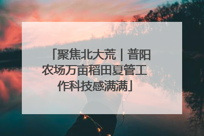 聚焦北大荒｜普阳农场万亩稻田夏管工作科技感满满