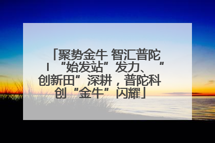 聚势金牛 智汇普陀〡“始发站”发力、“创新田”深耕，普陀科创“金牛”闪耀