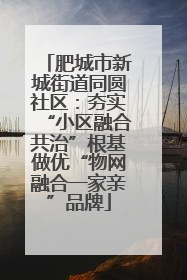 肥城市新城街道同圆社区：夯实“小区融合共治”根基做优“物网融合一家亲”品牌