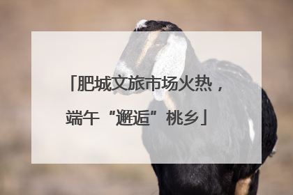 肥城文旅市场火热，端午“邂逅”桃乡