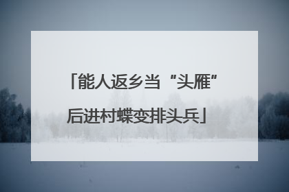 能人返乡当“头雁” 后进村蝶变排头兵