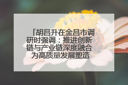 胡昌升在金昌市调研时强调：推进创新链与产业链深度融合 为高质量发展塑造新动能新优势