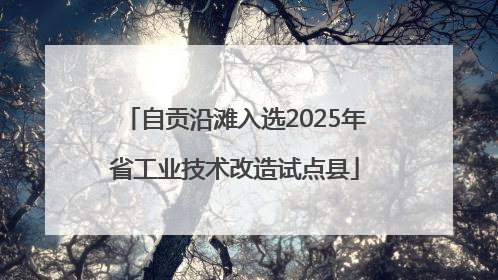 自贡沿滩入选2025年省工业技术改造试点县