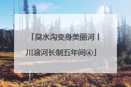 臭水沟变身美丽河丨川渝河长制五年间④
