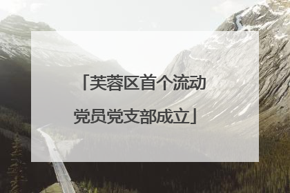 芙蓉区首个流动党员党支部成立