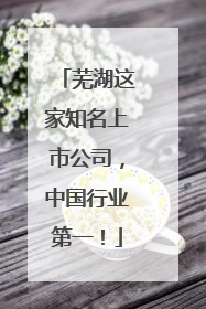 芜湖这家知名上市公司，中国行业第一！
