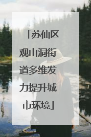 苏仙区观山洞街道多维发力提升城市环境