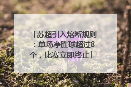 苏超引入熔断规则：单场净胜球超过8个，比赛立即终止