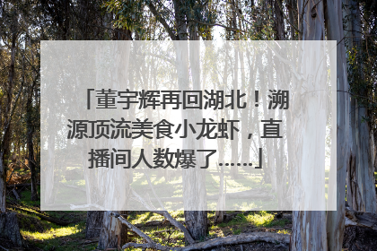 董宇辉再回湖北！溯源顶流美食小龙虾，直播间人数爆了……