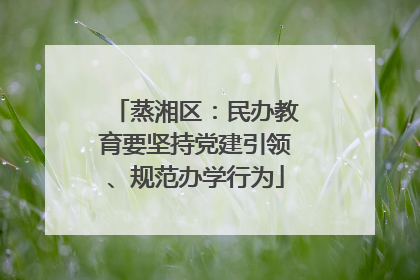 蒸湘区：民办教育要坚持党建引领、规范办学行为