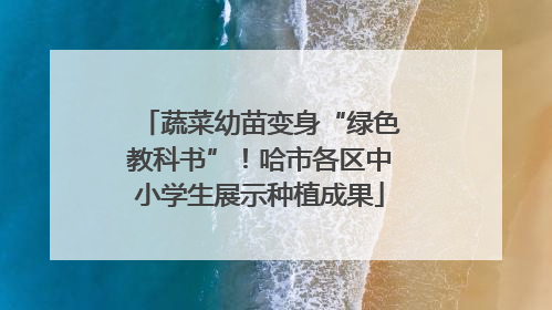 蔬菜幼苗变身“绿色教科书”！哈市各区中小学生展示种植成果