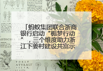 蚂蚁集团联合浙商银行启动“栀梦行动”，三个维度助力浙江下姜村建设共富示范区示范点