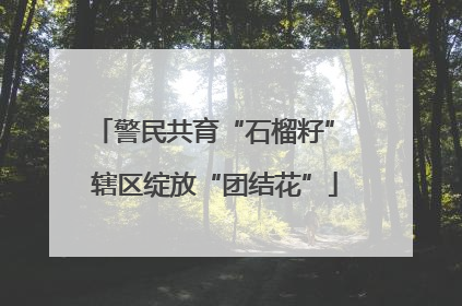 警民共育“石榴籽” 辖区绽放“团结花”