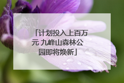 计划投入上百万元 九峰山森林公园即将焕新