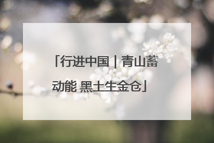 行进中国｜青山蓄动能 黑土生金仓