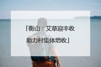 衡山：艾草迎丰收 助力村集体增收