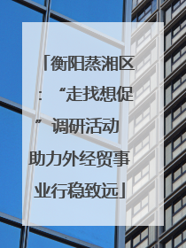 衡阳蒸湘区：“走找想促”调研活动 助力外经贸事业行稳致远
