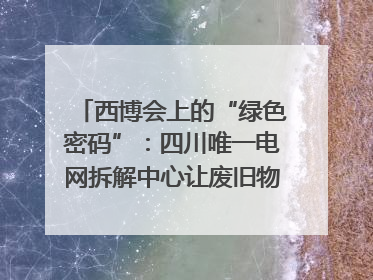 西博会上的“绿色密码”：四川唯一电网拆解中心让废旧物资“重生”｜西博寻“新”记
