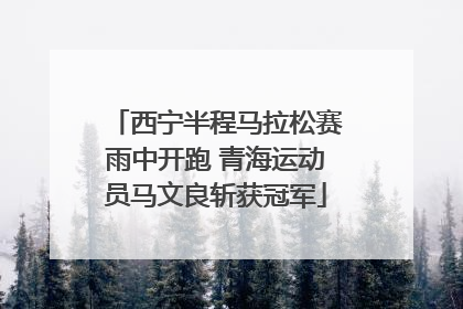 西宁半程马拉松赛雨中开跑 青海运动员马文良斩获冠军